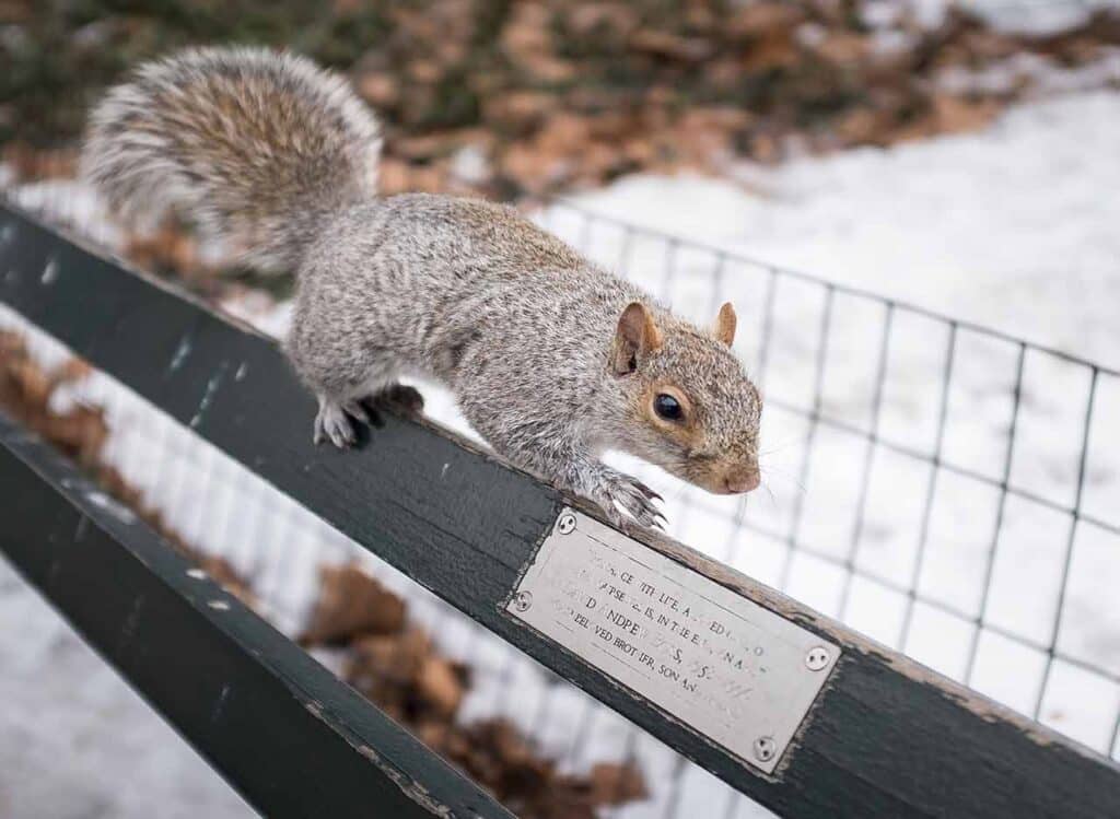 Tierheim Tierpension Zürcher Oberland