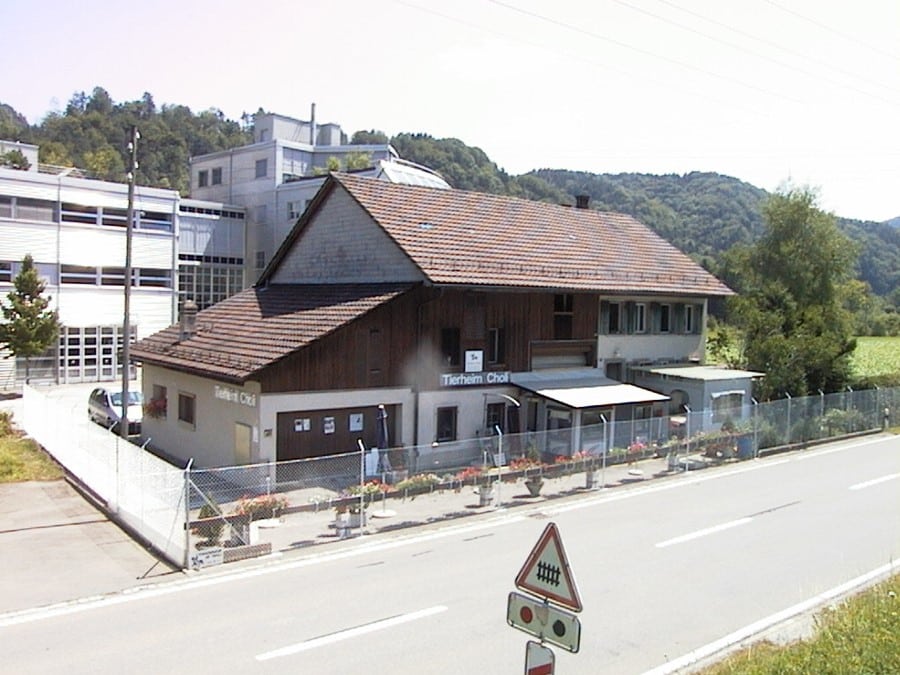 altes Tierheim Choli